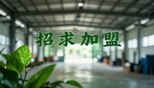 营销型高端网站建设,助力招商加盟信息展示升级